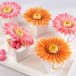 Gerbera Daisy Favour Box (pkg 24)